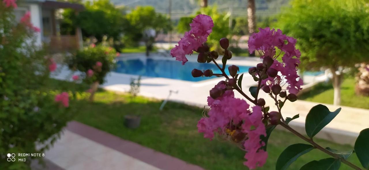 Green Garden Otel Kemer Bagian luar foto
