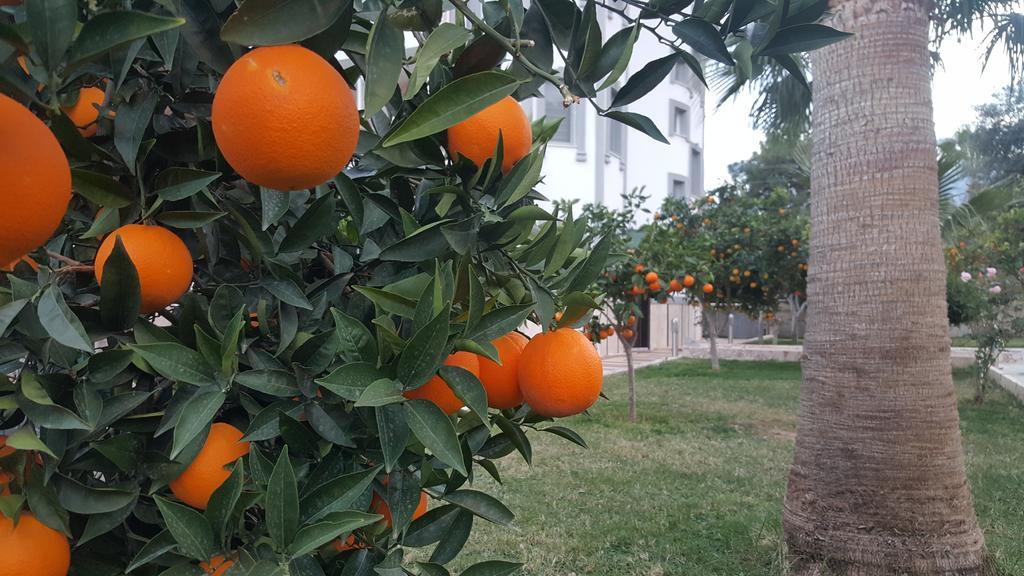 Green Garden Otel Kemer Bagian luar foto